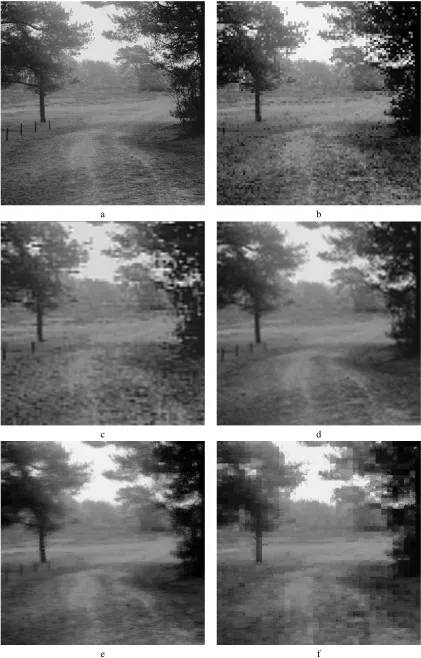 Figure 5: Example of natural image hyperresolution: a. original image of resolution 4 0 0( 1 0 0windows, and f