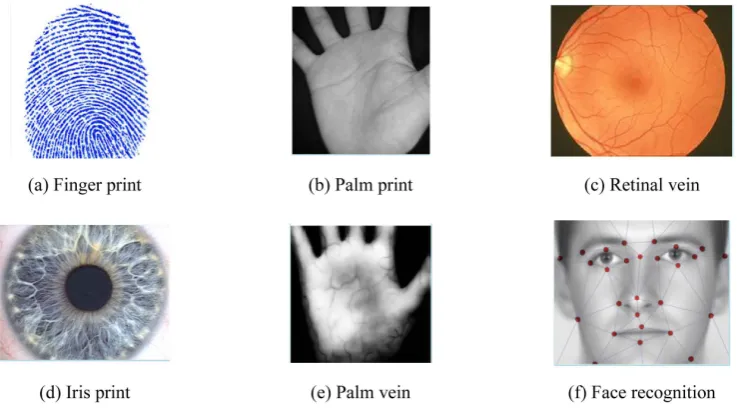 Figure 1. Some biometric patterns for identification and verification.                                     