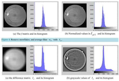 Figure 4. Remove snowflakes, and average filter 