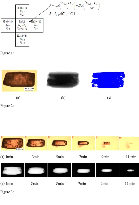 Figure 1:   