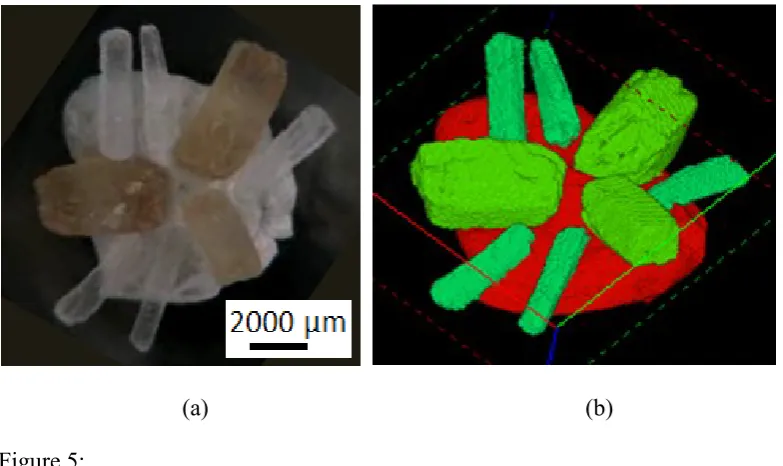 Figure 4:   