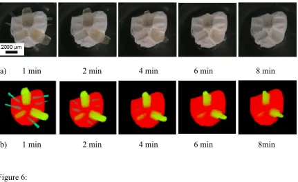 Figure 6:   