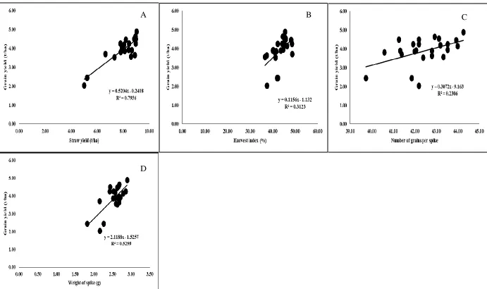 Figure 3. Relationship of grain yield with different on yield and yield attributes of wheat during the 2015-16