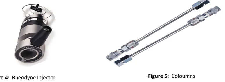 Figure 4:  Rheodyne Injector 