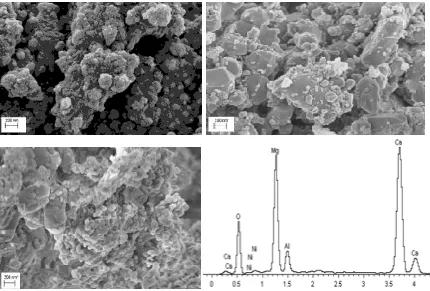 Fig. 7 SEM images for pine EPFB oil for wet S/C=2. Top left: experiment without sorbent after fuel and steam feed and N2 purge, top right: same after the air feed, bottom left: with sorbent after air feed