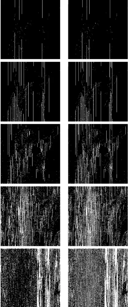 Fig. 9 Suitability maps (left column) and cumulative maps (right column) for blind extraction for qualitylayers corresponding to discarding of N = 5, 4, 3, 2, 1 bit planes (from top row to bottom row, respectively).Suitability maps - white and black correspond to suitable and not suitable for watermarking, respectively.Cumulative maps - gray, white and black correspond to AW, SW and NS coeﬃcient types, respectively.