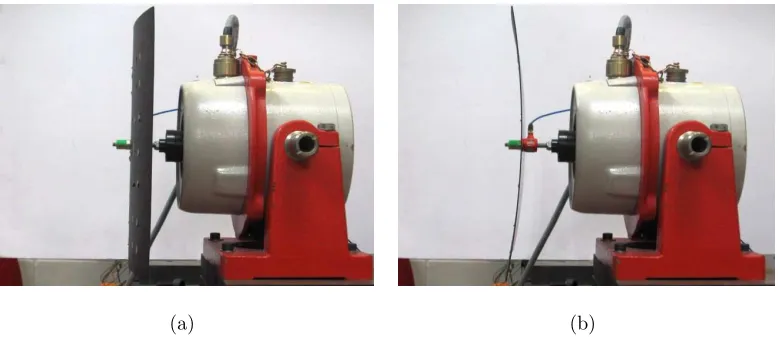 Figure 7: Bi-stable plate mounted on a shaker used as external excitation source. (a)Stable state 1