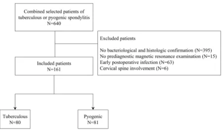 Figure 2.  A flowchart of the patient selection process.