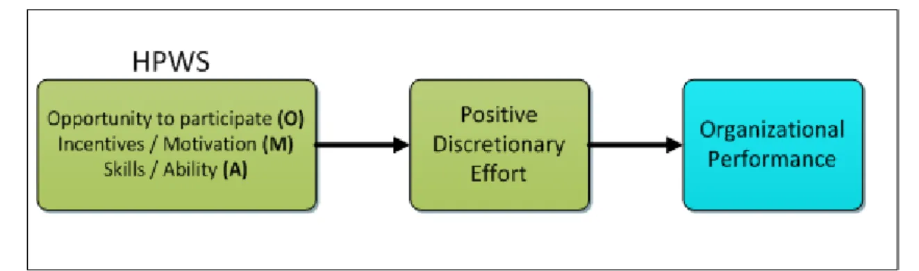 Figure 3. The AMO model of  performance adapted from Appelbaum et al.(2000)