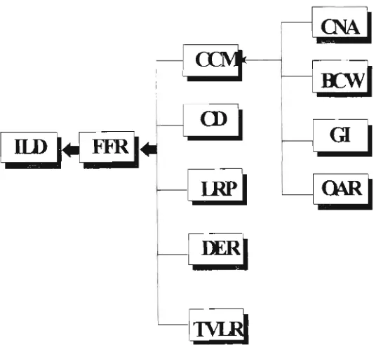 Figure 4.3: Industrial loan default and flawed financial role 