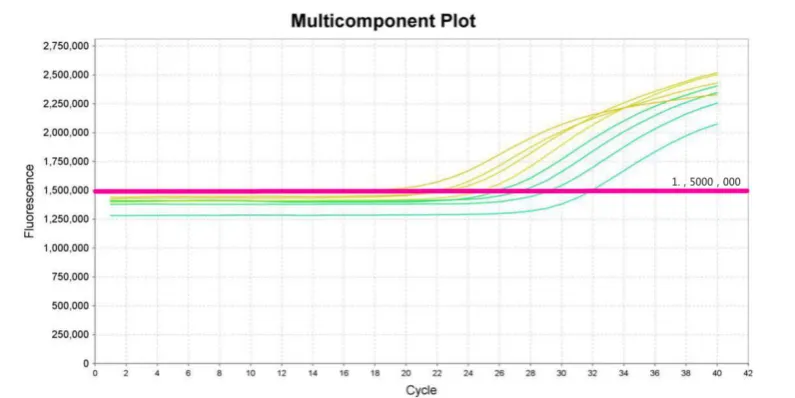 Figure 1. The standard curve for fluorescent quantitative PCR. The concentration of each 