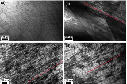 Figure 82 in Fig. that observed in Fig. markedly piled up, and some dislocations passed through subgrain boundaries