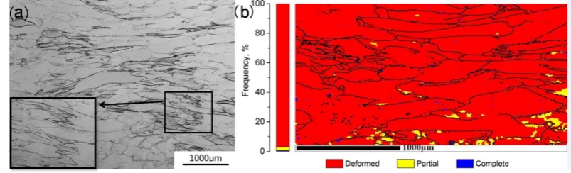 Figure 10. (a) Microstructure; (b) recrystallized fractions of Domain 1 at the true strain of 0.7