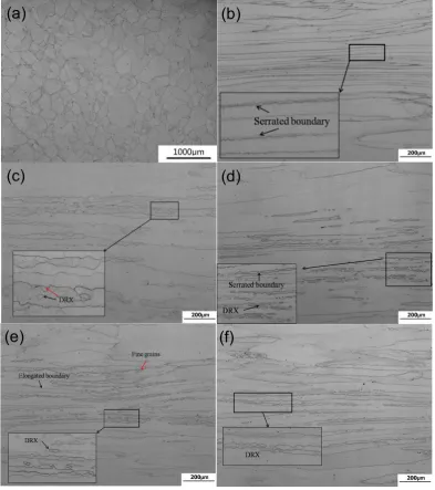 Figure 5. Microstructures of the Fe-6.5wt.%Si alloy (a) before and after deformation at the true strain of 1.6 under various deformation conditions: (b) 650 °C and 0.01 s-1; (c) 750 °C and 0.01 s-1; (d) 750 °C and 0.1 s-1; (e) 850 °C and 1 s-1; (f) 950 °C 