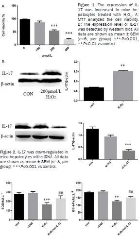 Figure 1. The expression of IL-17 was increased in mice he-