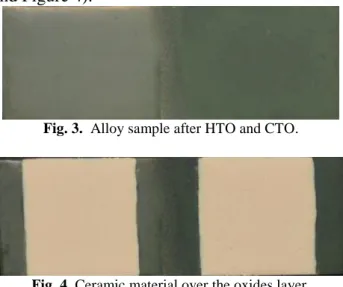 Fig. 4. Ceramic material over the oxides layer.  3. METHODS