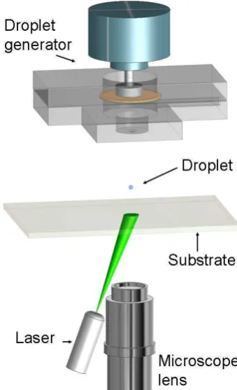 FIG. 1: (Colour online) Schematic view of the experimentalarrangement.