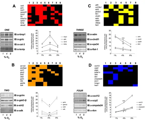 Figure 9. Latent Semantic Indexing analysis of group clusters ONE, TWO, THREE, FOUR with astrocytic and neurophysiologicalactivities.least three separate westerns for each chosen protein is indicated in each panel