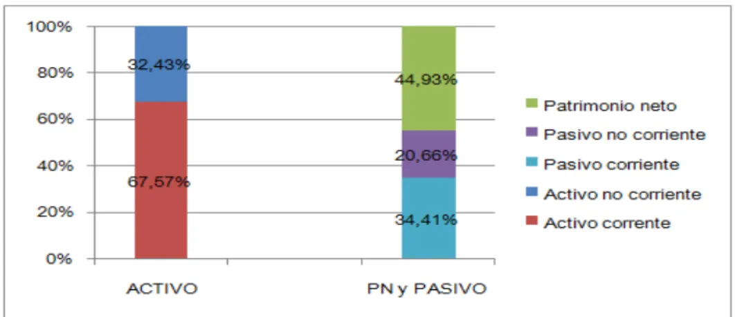 Figura 6. Media de las masas patrimoniales en el período