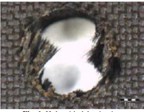 Fig. 1. Hole with delamination
