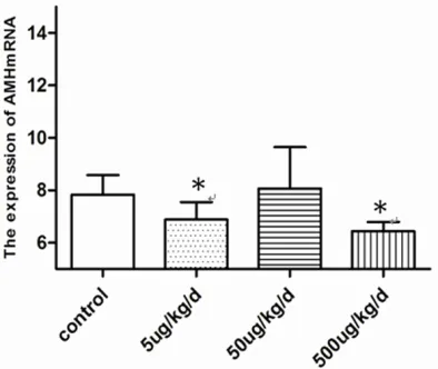 Figure 3. Effects of Pathological changes of ovary by chronic exposure to BPA in mice
