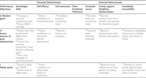 Table 3 Matrix of performance objectives and determinants for ‘Take Action’