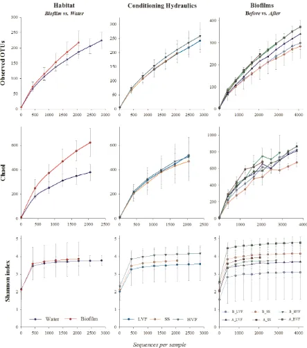 Figure 5: Rarefaction curves at 95 % of sequence similarity for water and biofilm samples