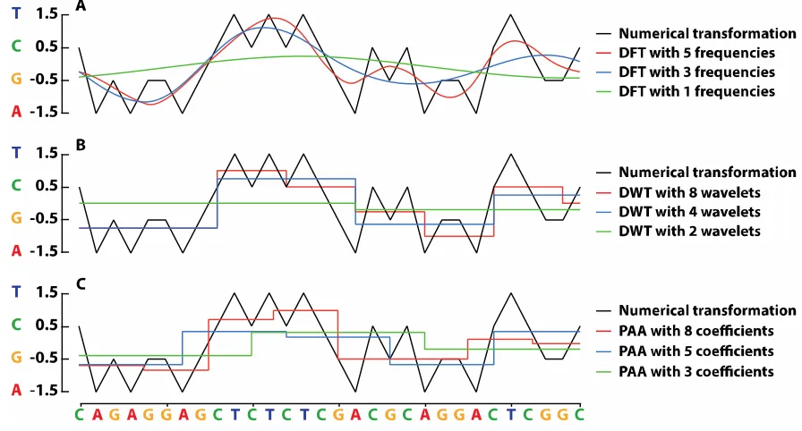 Figure 1. A numerically represented DNA sequence transformed at various levels of spatial resolution using the discrete Fourier transform (DFT) of the whole sequence (A), the Haar discrete wavelet transform (DWT) (B), and piecewise aggregate approximation 