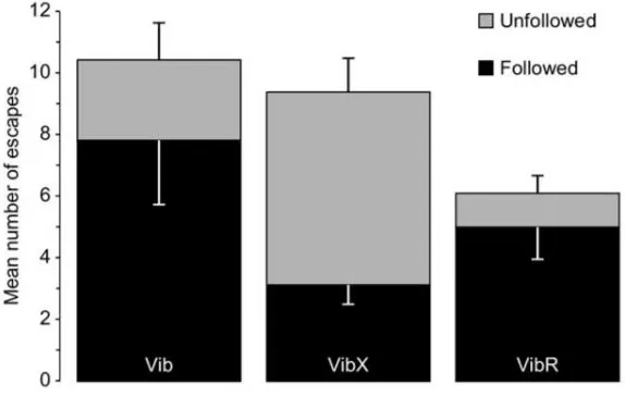 Fig. 3.Increased proportion of un-followed escapes by rats without whiskers. Data (