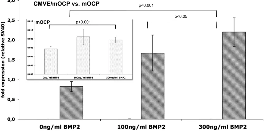 Figure 6: Activity of the CMVE/mOCP-MetLuc reporter system in fibrin clots represented as 
