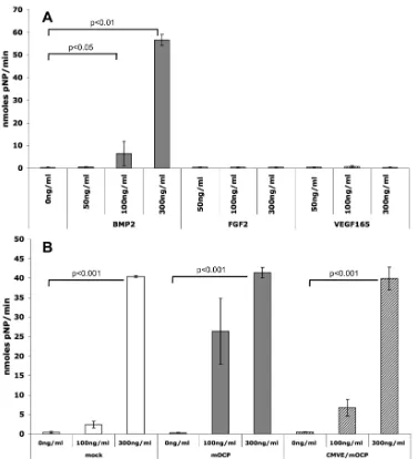 Figure 7: Enzymatic alkaline phosphatase (ALP) assay results in 2D culture.  