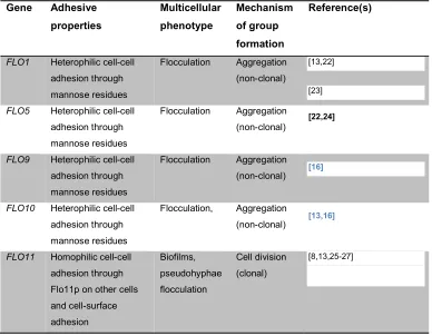 Table 1: The genetic basis of multicellularity in yeast. Flocculin genes involved in multicellular group 