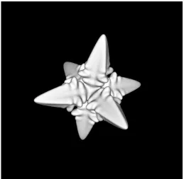 Figure 1: snapshot of a typical anisotropic solution, showing the φ = 0.0 isosurface atthe end of a simulation
