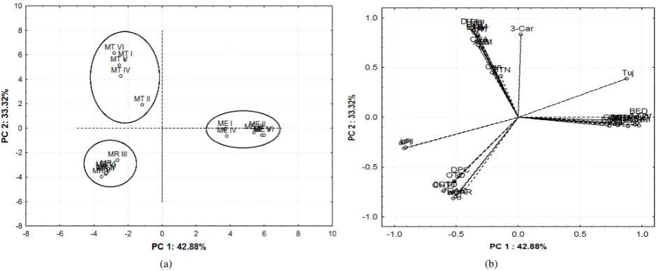 Figure 5. Dendrogram of the cluster analyses. 