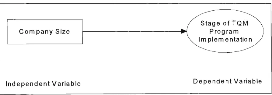 Figure 3.2.3 Relationship between the independent variable (company size) and the 