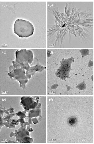 Figure 4. TEM micrographs of (A) processed TAβCD, (B) processed SP, (C) SP1/TAβCD1 PM, (D) spray‐dried SP1/TAβCD1 complex, (E) SP1/TAβCD2 PM and (F) spray‐dried SP1//TAβCD2 complex