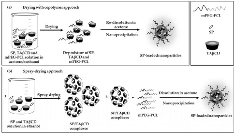 Figure 5. Method for the encapsulation of SP. (a) Drying of the SP, TAβCD with mPEG‐PCL copolymer prior to nanoprecipitation and (b) co‐dissolution of spray‐dried SP/TAβCD complex with the copolymer and nanoprecipitation