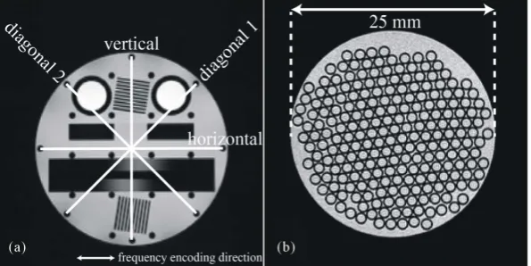 Figure 3. An accuracy evaluation phantom image and the measurement distance point (a)