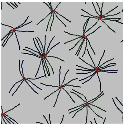 Fig. 16 (Color online) Example of asters at low density with areafraction φ ≈ 5.3%. The system parameters were kA/kD = 250,kMτb = 75