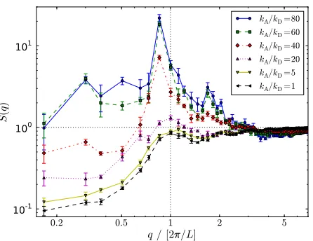 Fig. 4 (Color online) Mean squared displacementanddashed line has slope 1 corresponding to normal diffusive scaling⟨ ⟨∆r2⟩ for kM = 0 kA/kD given in the key for the same systems as Fig