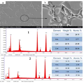 Fig. 5. Microstructure of 0% added Al2O3 samples, and EDS analysis. 