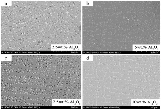 Fig. 6. SEM micrograph of Al2O3 molded parts. 