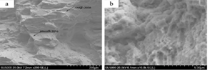 Fig. 13. Micrographs of fracture surfaces of tensile specimens containing 5%Al2O3. 