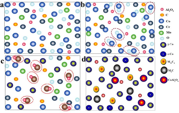 Fig. 14. Compound formation process. 