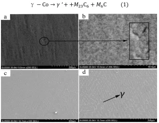 Fig. 3. SEM micrograph of pure CoCr alloy powder molding. 