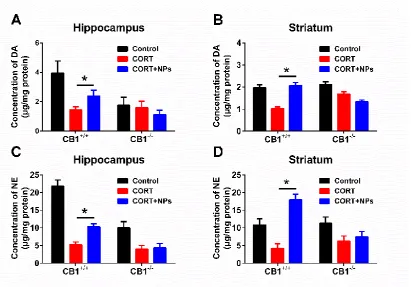 Fig. 3. Cur/SLNs-HU-211 enhance DA and NE release in CB1+/+ MDD mice hippocampus and striatum