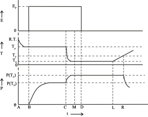 Figure 1. Polarization (P) of the specimen as a function of time (t).                