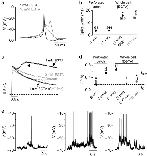 Figure 2. Spontaneous action potentials in IHCs require physiological recording conditions(a), Spontaneous APs recorded from mouse IHCs maintained at 35-37°C and using 1 mMintracellular EGTA14,16,21 (black traces) or at room temperature using 10 mM EGTA24-