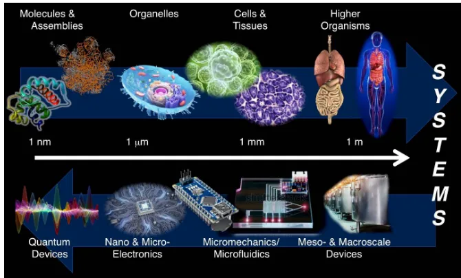 Fig. 1: While technical systems are engineered top-down, biological systems grow bottom-up in hierarchical, compartmentalized structures 