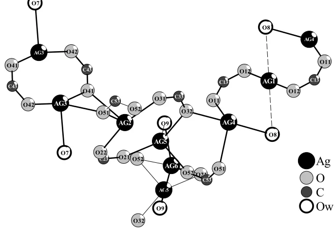 Figure 1. The scheme of the structure of [Ag5(O2CC2F5)5(H2O)3]. For clarity -C2F5 groups are omitted